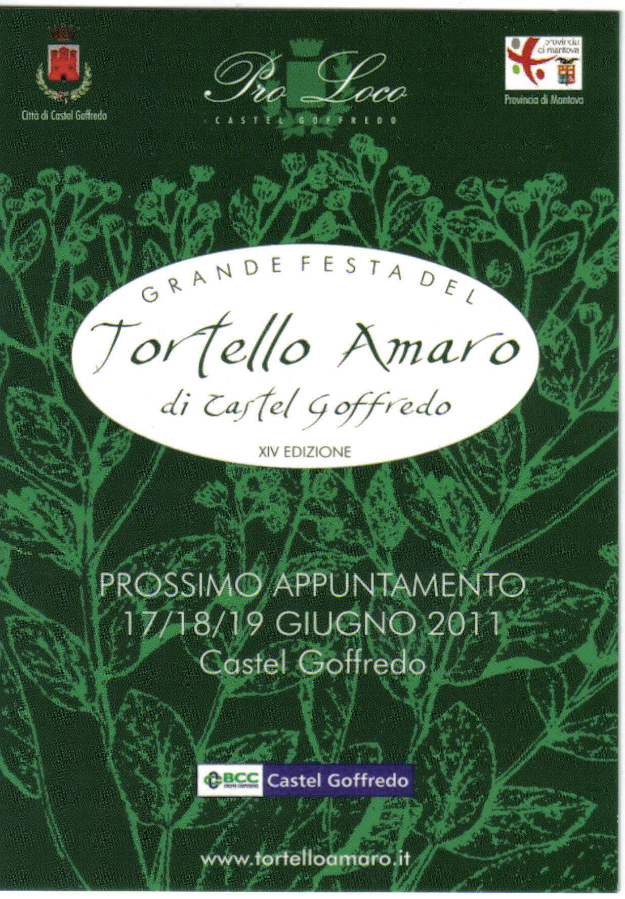 cartolina 2011